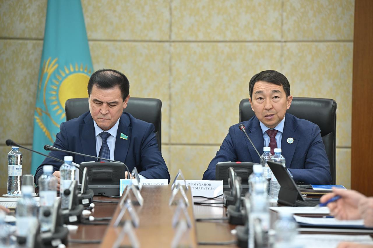 Сенатта Мемлекеттік егемендік туралы декларацияның құқықтық мемлекетті нығайтудағы рөлі талқыланды