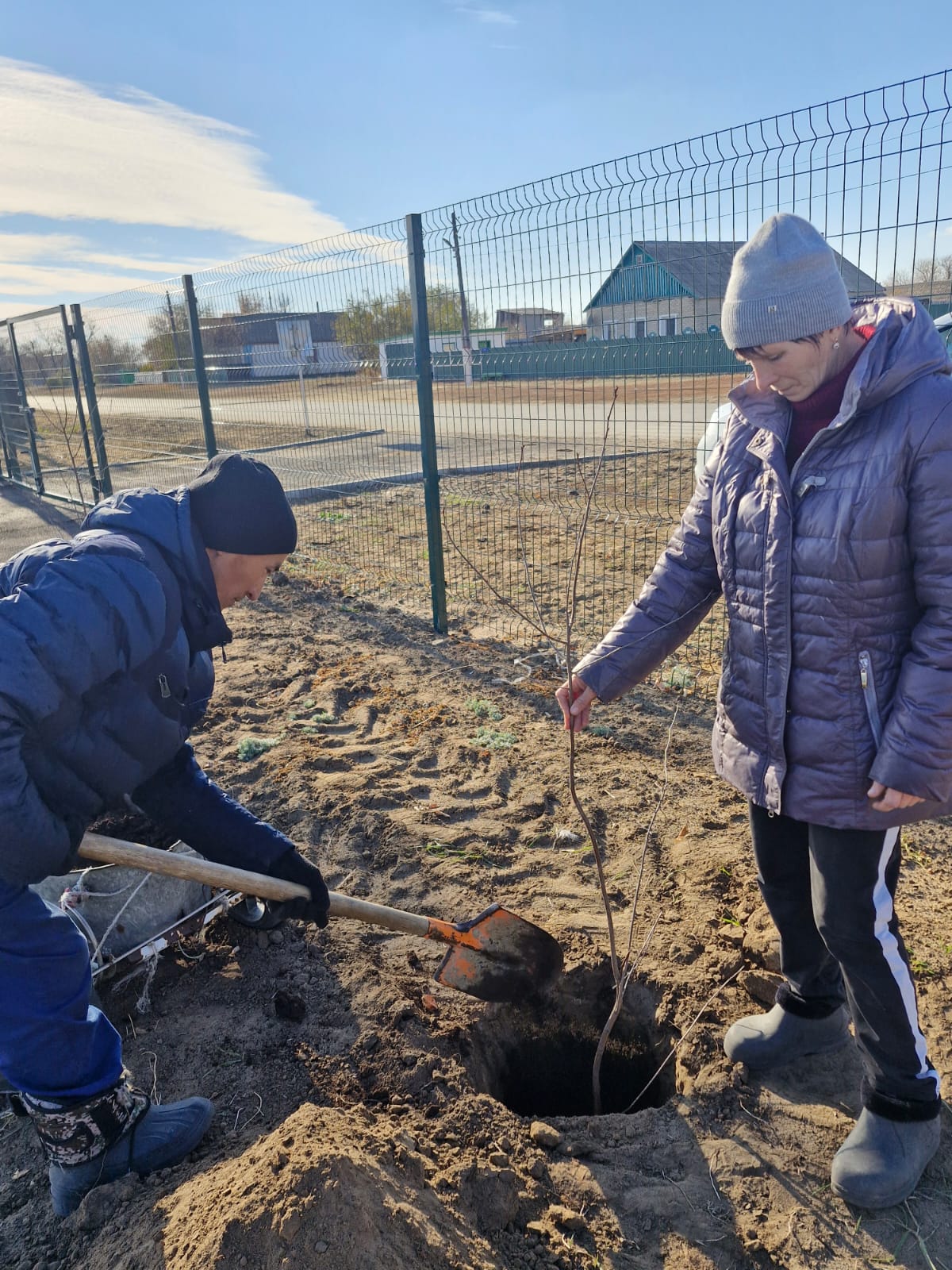 Ағаш отырғызу