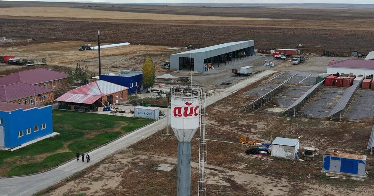 Ақтөбе облысында «Айс» ЖШС Даниядан 330 бас асылтұқымды сиыр әкелді