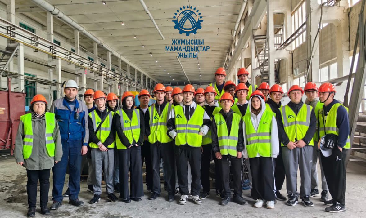 Жұмысшы кәсіптер жылы