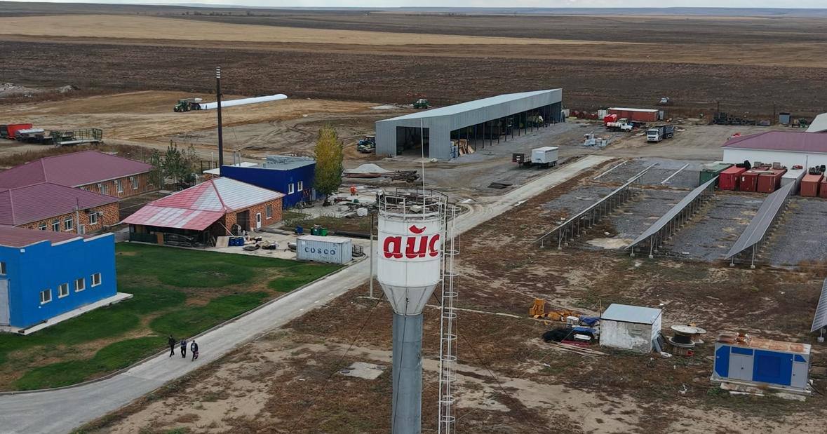 Ақтөбе облысында «Айс» ЖШС Даниядан 330 бас асылтұқымды сиыр әкелді