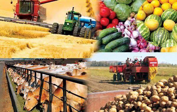 🌾ҚҰРМЕТТІ АУДАН ТҰРҒЫНДАРЫ МЕН ҚОНАҚТАРЫ!