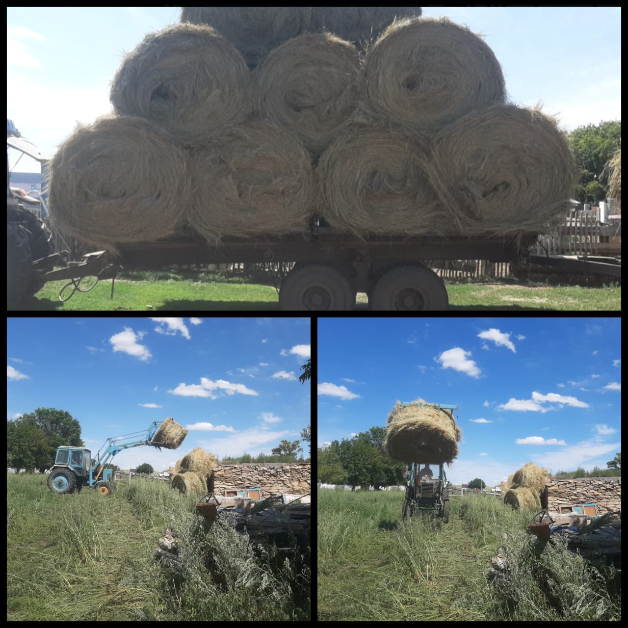 Қайырылымдылық іс-шаралары