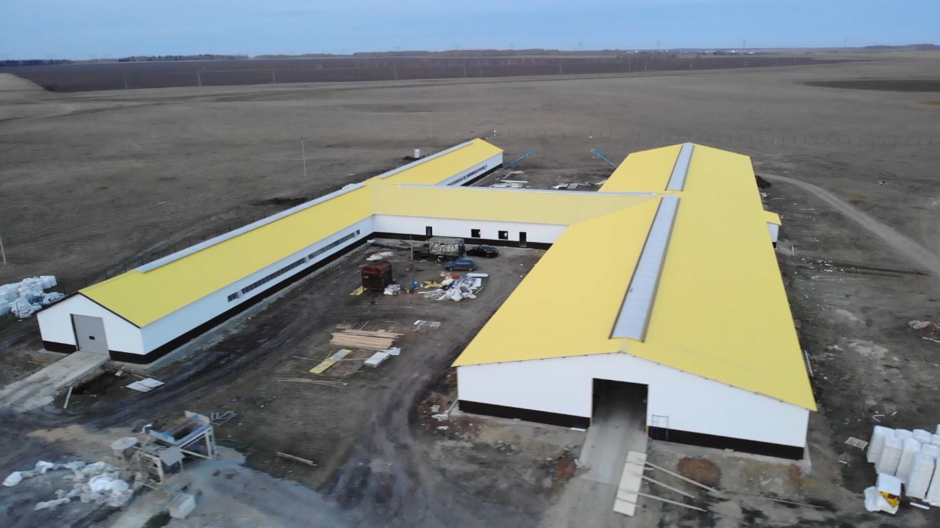 Зеренді ауданында жаңа сүт фермасының құрылысы аяқталуға жақын