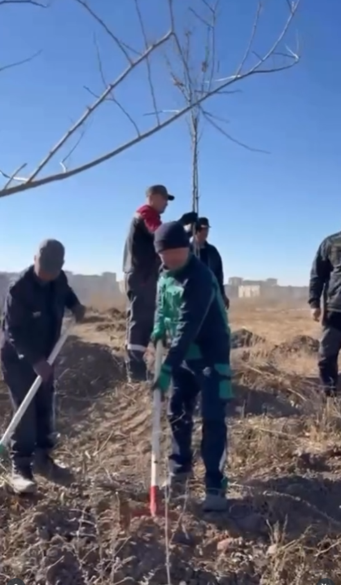 «Таза Қазақстан» акциясы аясында №1 Индустриялық паркке 1000-нан астам ағаш отырғызылды