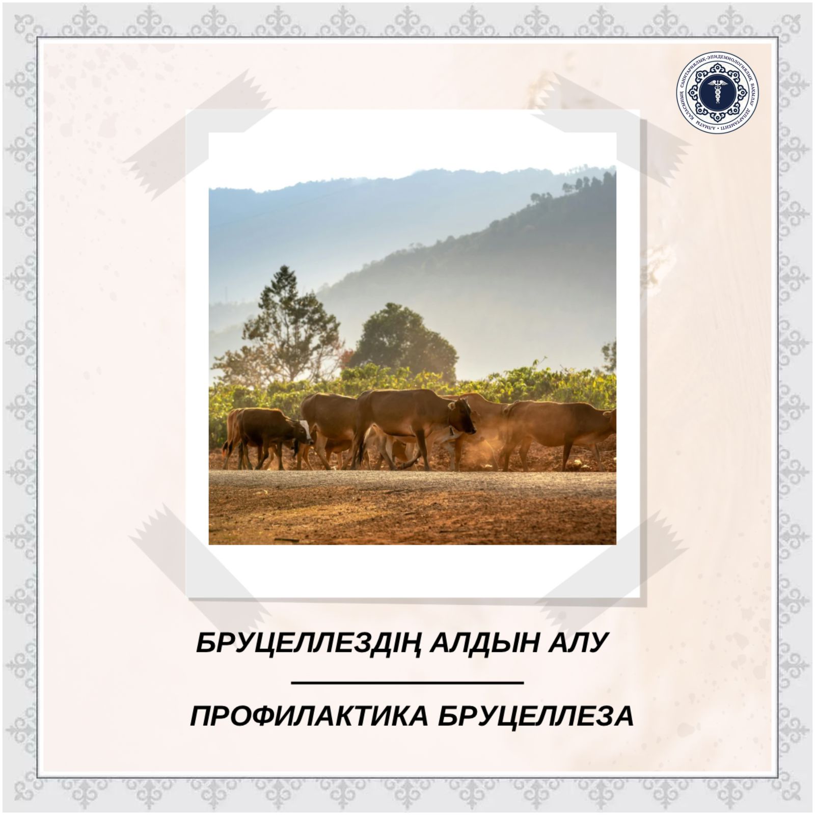 Бруцеллездің алдын алу