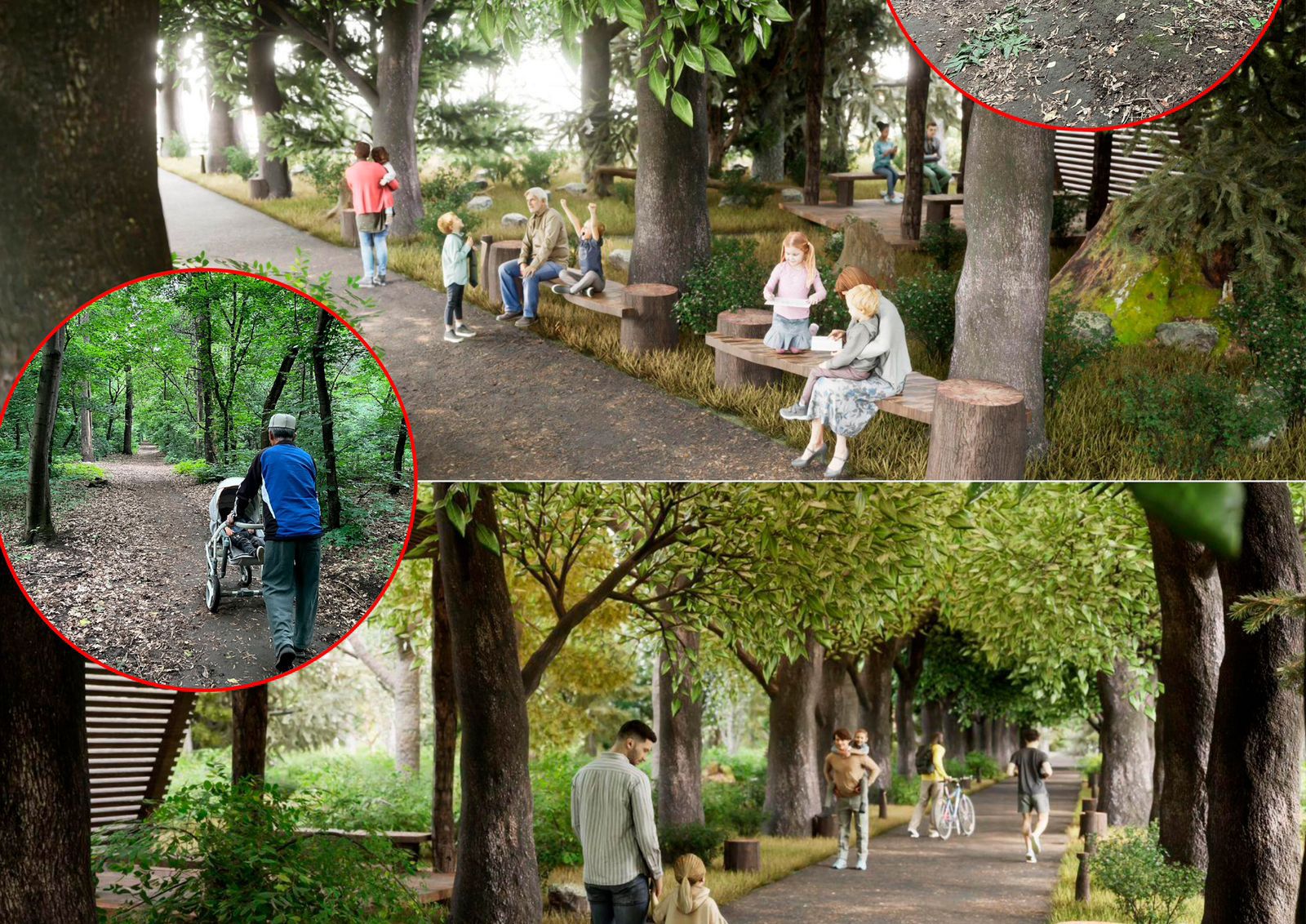 Алматы әкімдігі Баума тоғайының жаңартылған дизайнын ұсынды