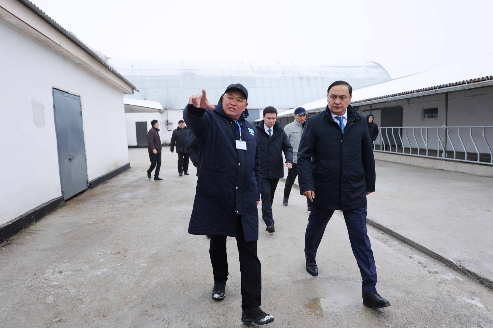 Ербол Қарашөкеев Байзақтағы ірі агроөнеркәсіптік жобалардың жұмысымен танысты