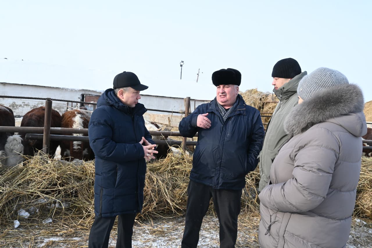 “Спасское-Агро” ЖШС-де өсімдік шаруашылығы мен мал шаруашылығын дамыту