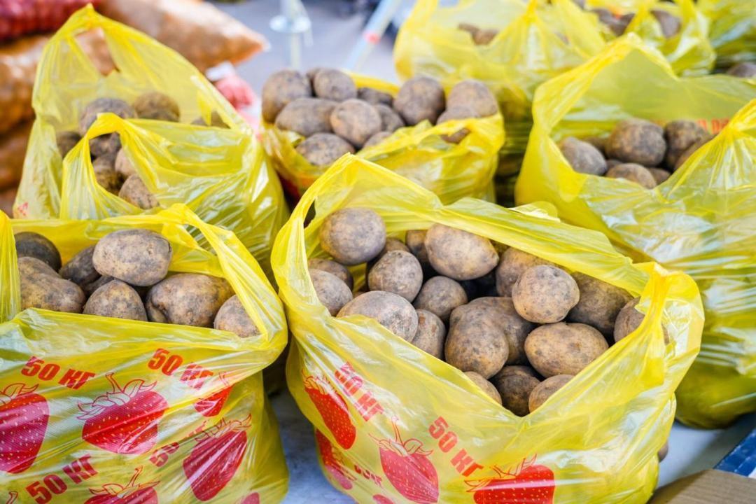 Елордада ӘМАТ бағаларына мониторинг жүргізілуде