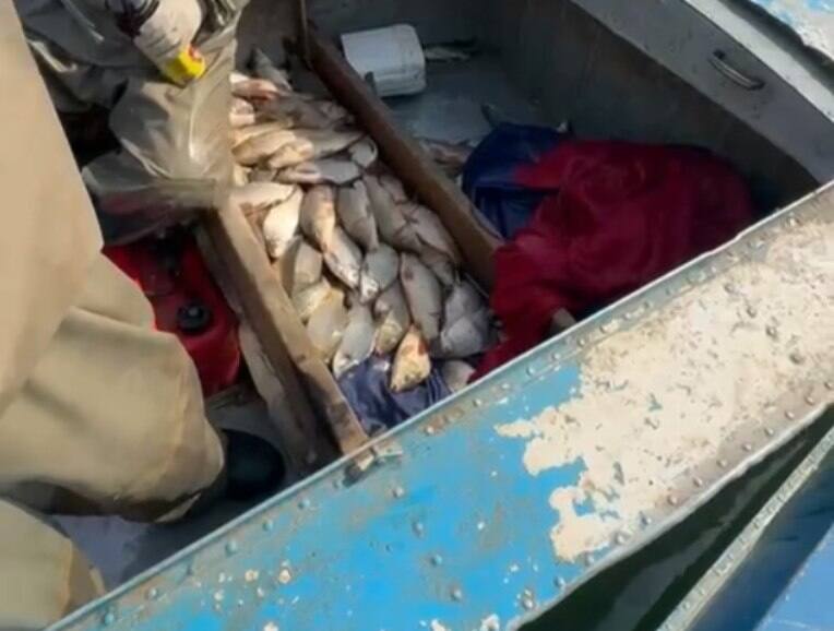 Полиция браконьерлерден 130 келіге жуық балық тәркіледі 