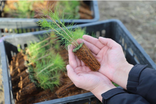 19 наурыз – Жаңару күні