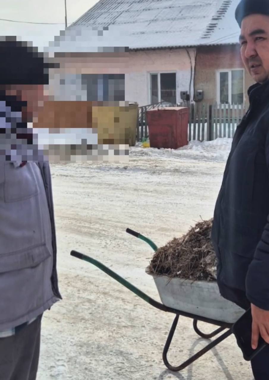 Абай облысында абаттандыру ережелерін бұзғаны үшін шамамен 2800 тұрғын жауапкершілікке тартылды.