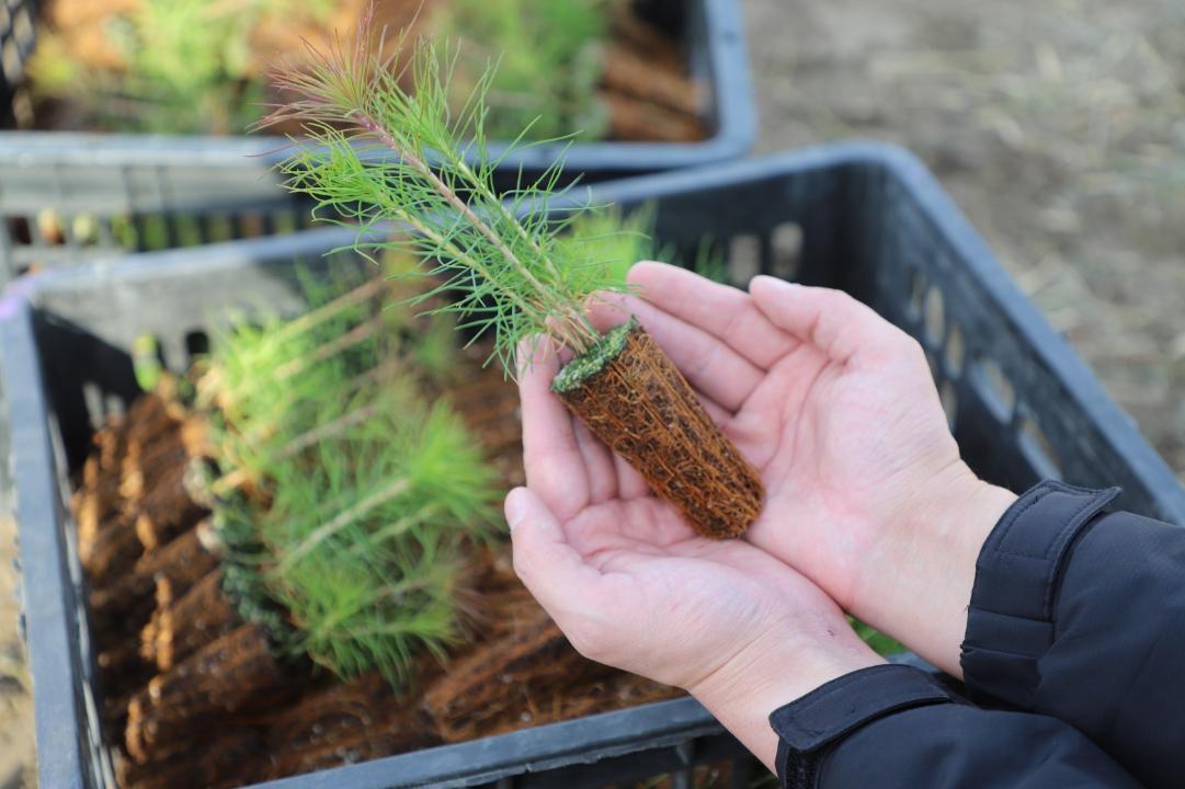 19 наурыз – «Жаңару күні»