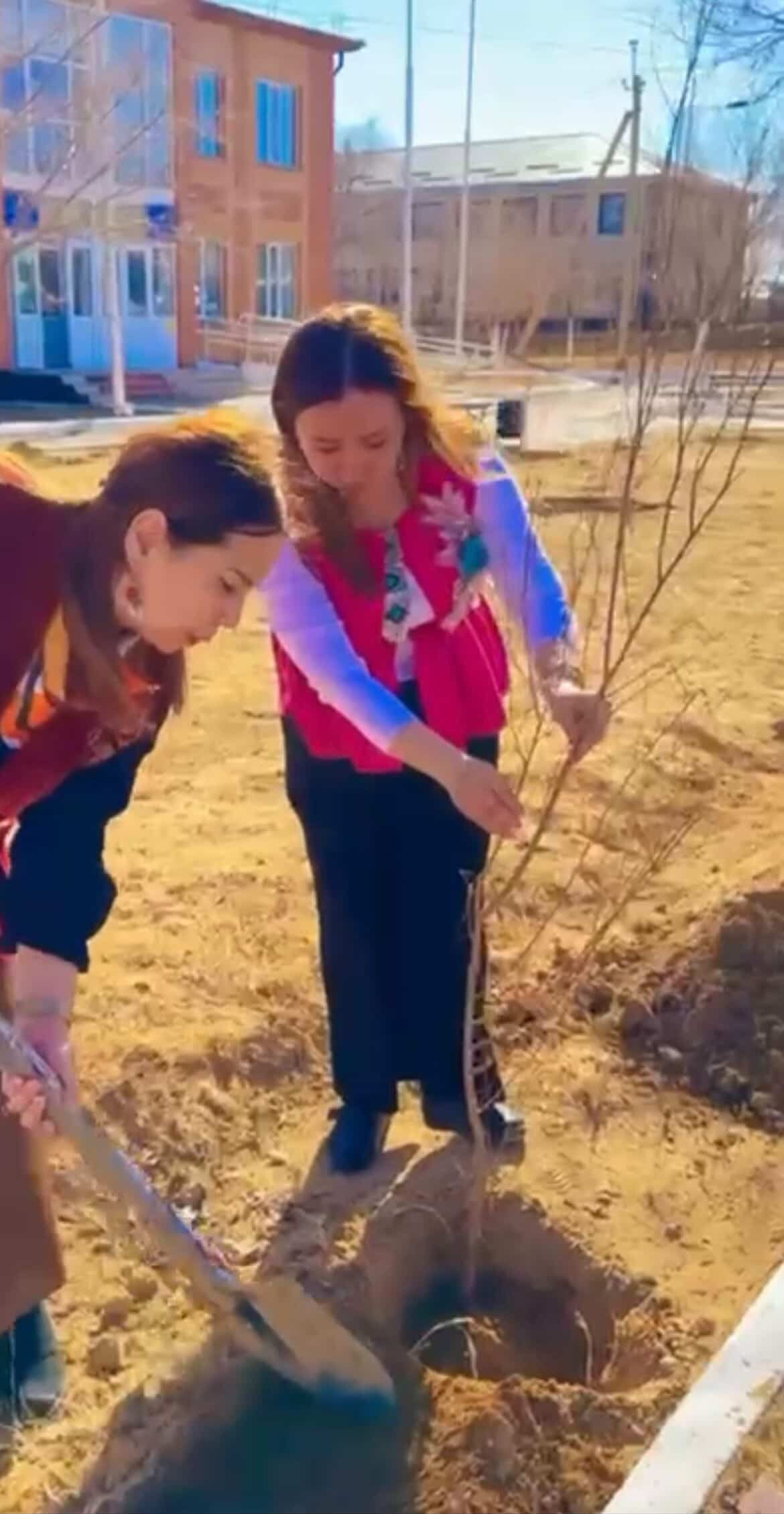 Қармақшы ауданаралық мәжбүрлеп орындау аумақтық бөлімінің филиалы қызметкерлері мен “Төретам кенттік клуб үйі” КММ қызметкері бірлесе отыра, көшет отырғызды.