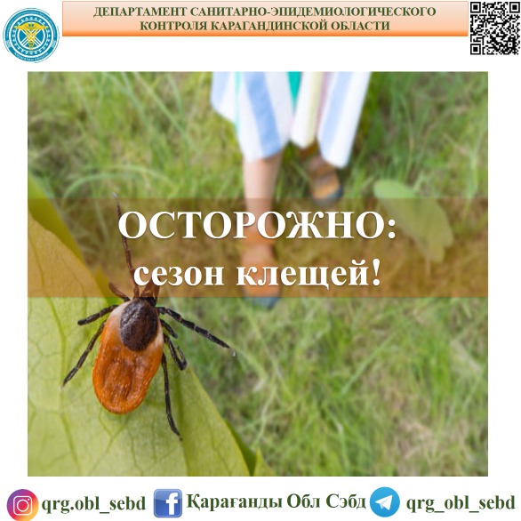 Абайлаңыз: кене маусымы!