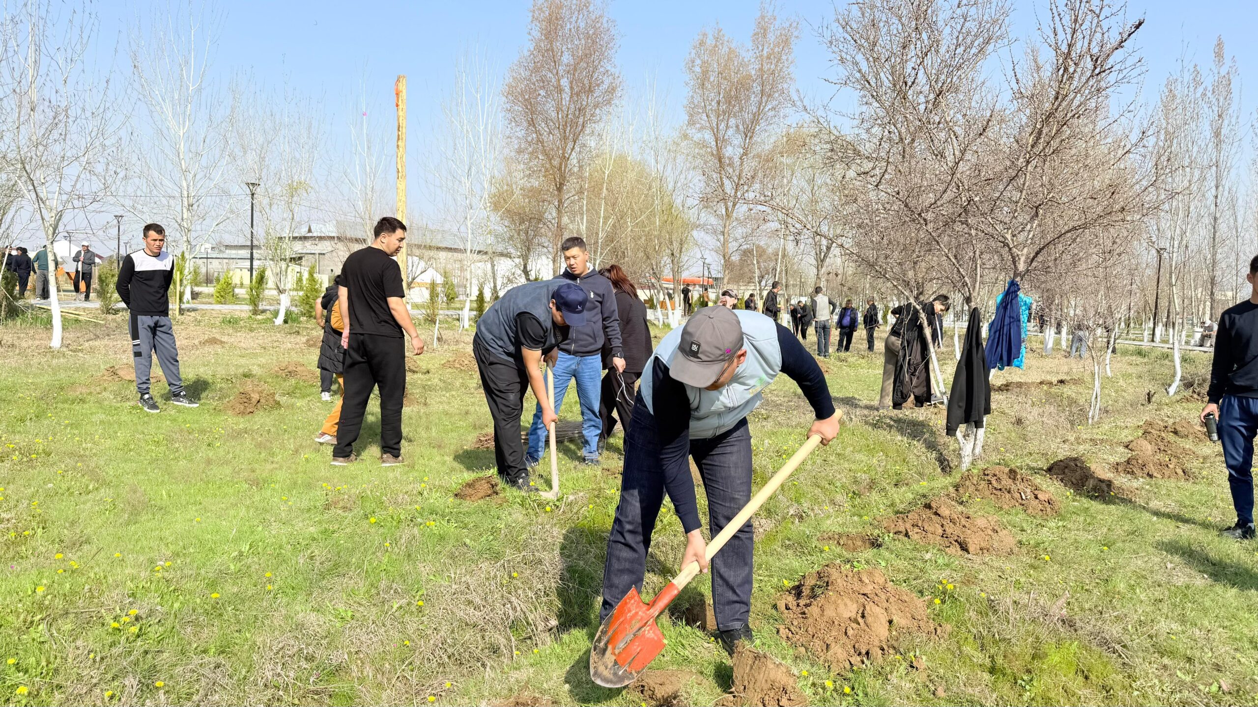 МАҚТААРАЛДА 1700 ДАНА КӨШЕТ ОТЫРҒЫЗЫЛДЫ