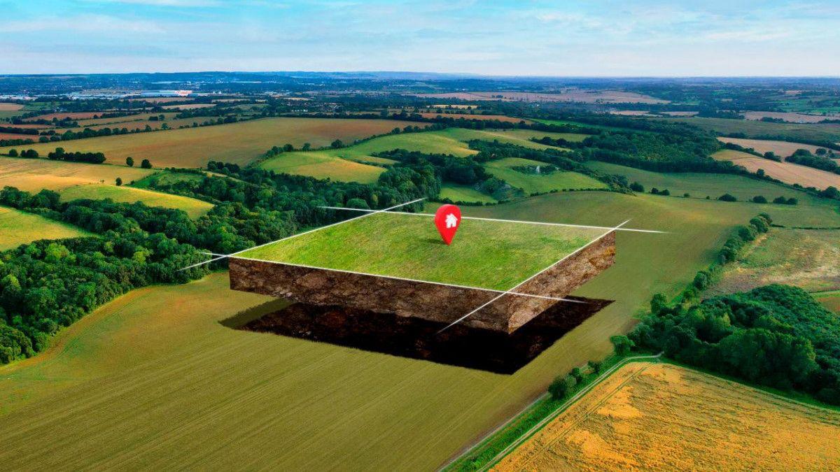 Қызылорда облысында ауыл шаруашылығы мақсатындағы жер учаскелері мемлекет меншігіне қайтарылды