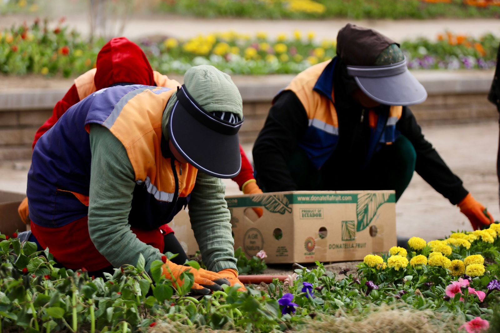 ЖАҢАРУ КҮНІНЕ ОРАЙ ҚАЛАДА КЕШЕНДІ КӨГАЛДАНДЫРУ ЖҰМЫСТАРЫ ЖҮРГІЗІЛДІ