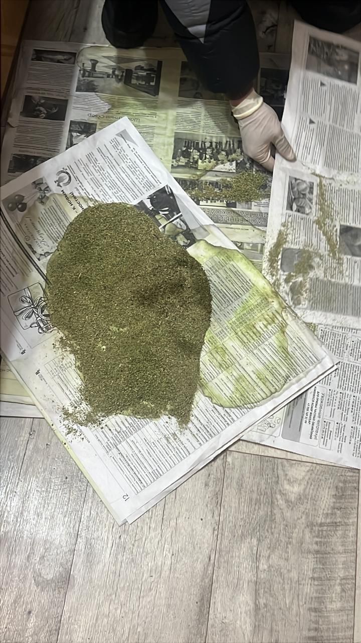 ШҚО-да заңсыз айналымнан бір килограммнан астам марихуана тәркіленді
