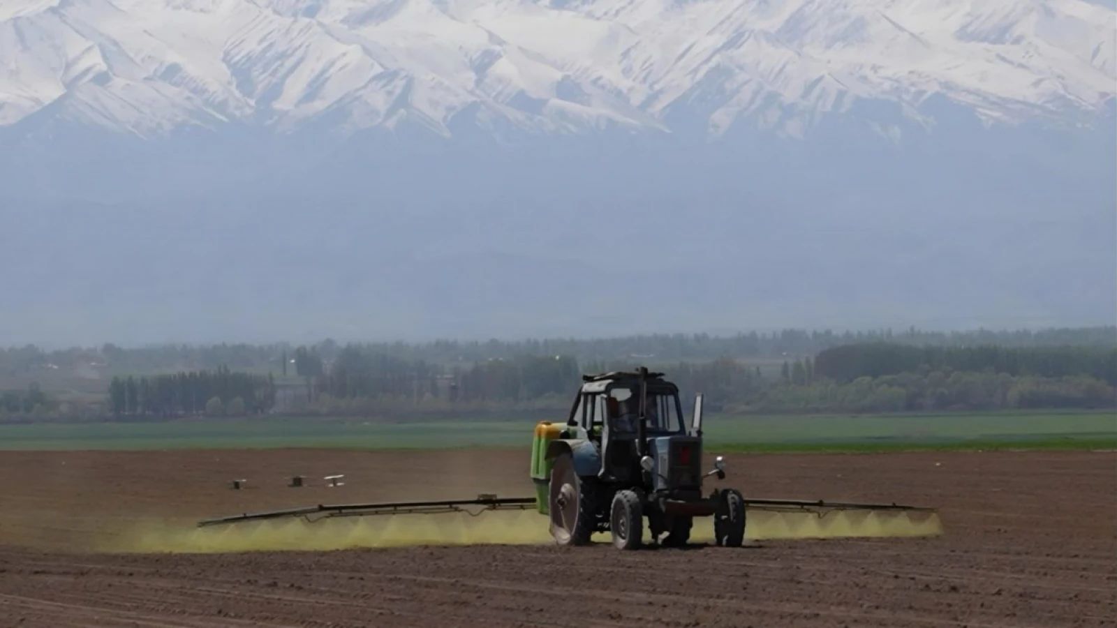 Жамбыл облысында аграрлық сектор кеңейіп, егіс көлемі 665,4 мың гектарға жетеді