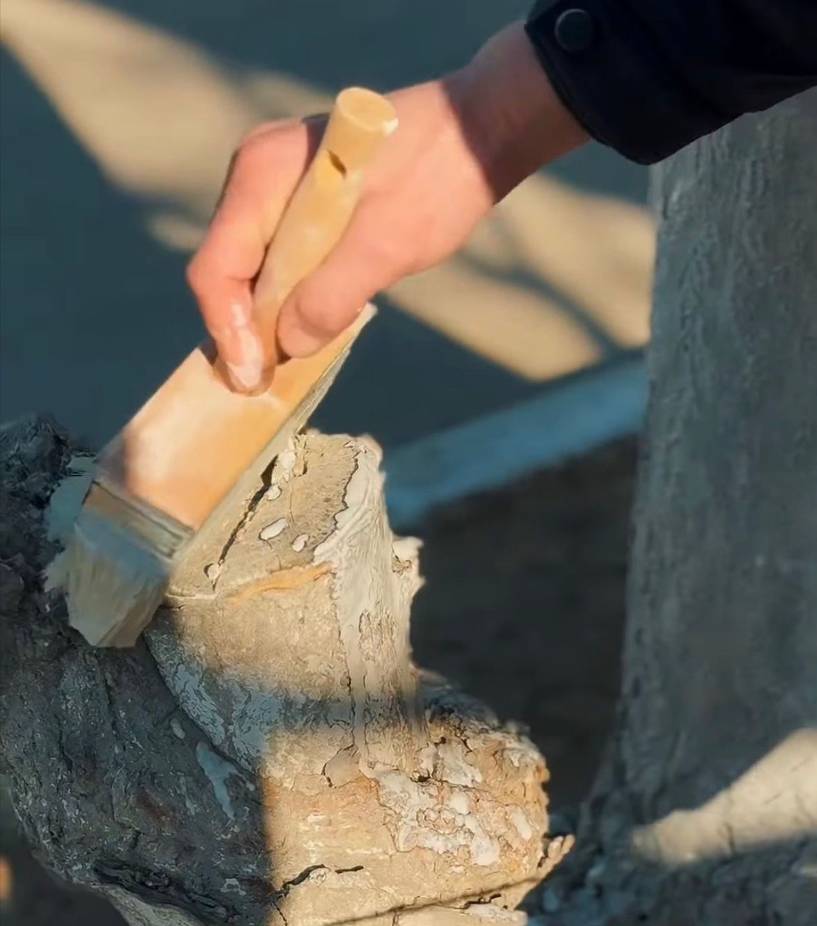 Маңғыстау облысында сотталғандар қарттар үйін абаттандыру жұмыстарын жүргізді