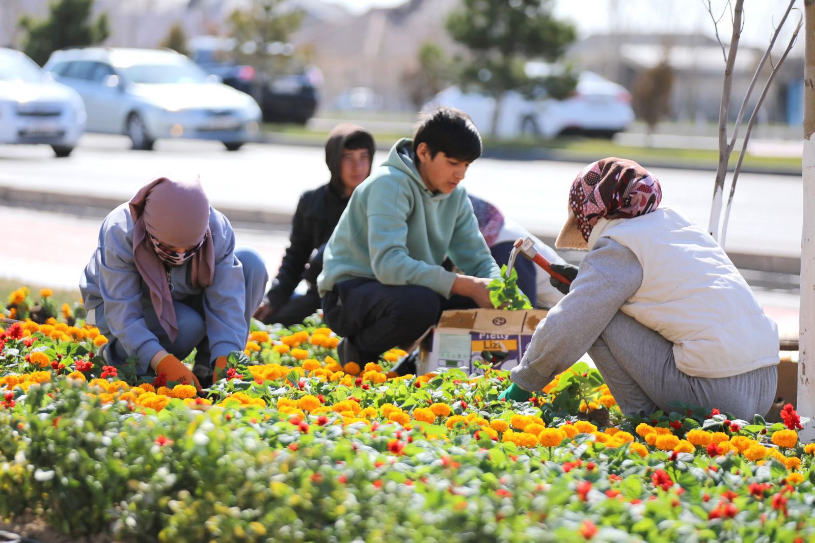 ТҮРКІСТАНДА ГҮЛ ЕГУ НАУҚАНЫ БАСТАЛДЫ