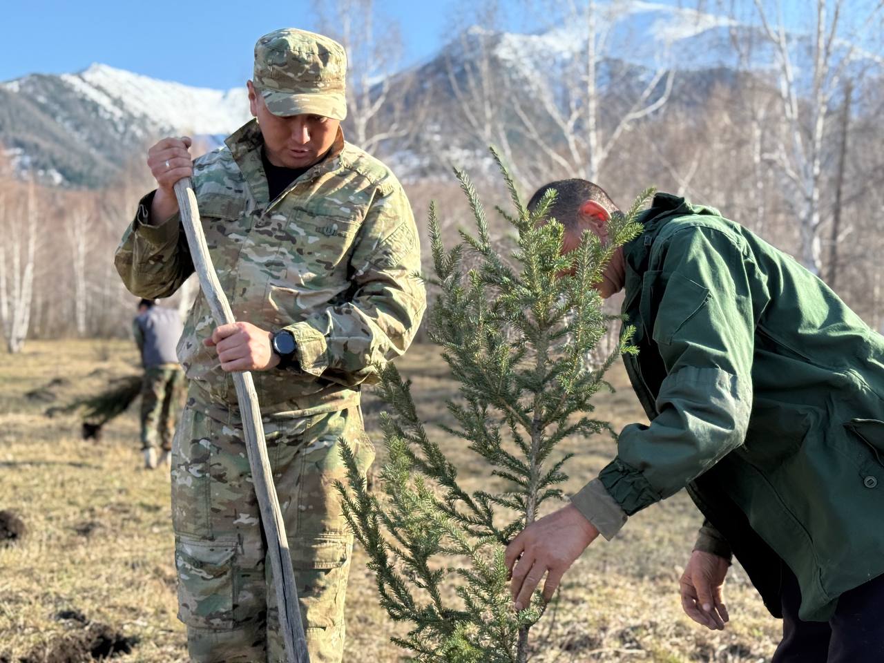 ШҚО-да екі жылда 36 млн дана көшет отырғызылады