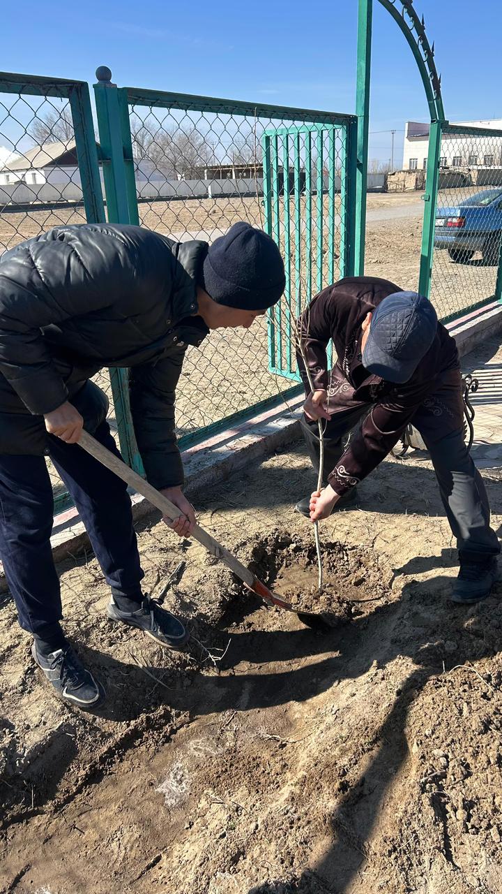 🌿 Тал егу күні 🌿