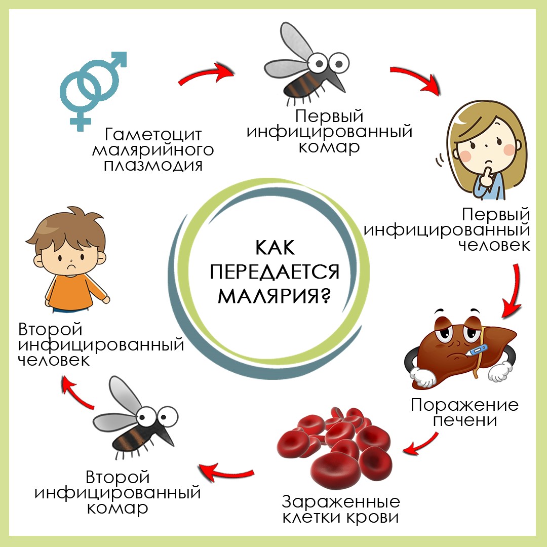 Безгек ауруының алдын алу