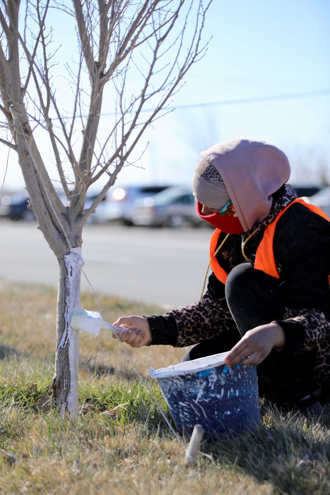 КӨКТЕМГІ АБАТТАНДЫРУ ЖҰМЫСТАРЫ ҚАРҚЫНДЫ ЖҮРГІЗІЛУДЕ