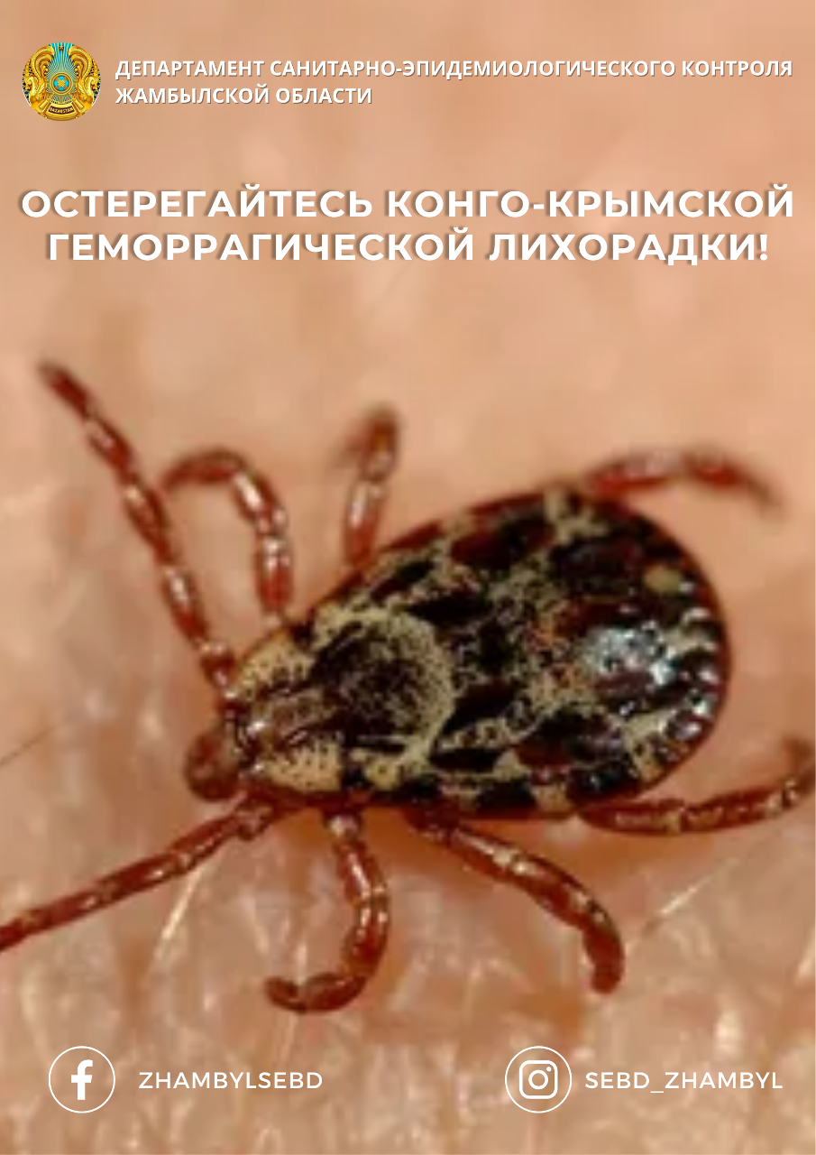 Конго-Қырым геморрагиялық қызбасынан сақ болыңыз!