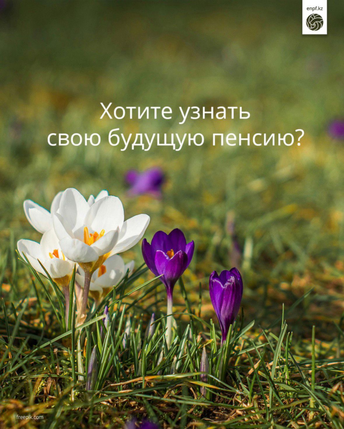 Болашақ зейнетақы мөлшеріңіз қанша болады?