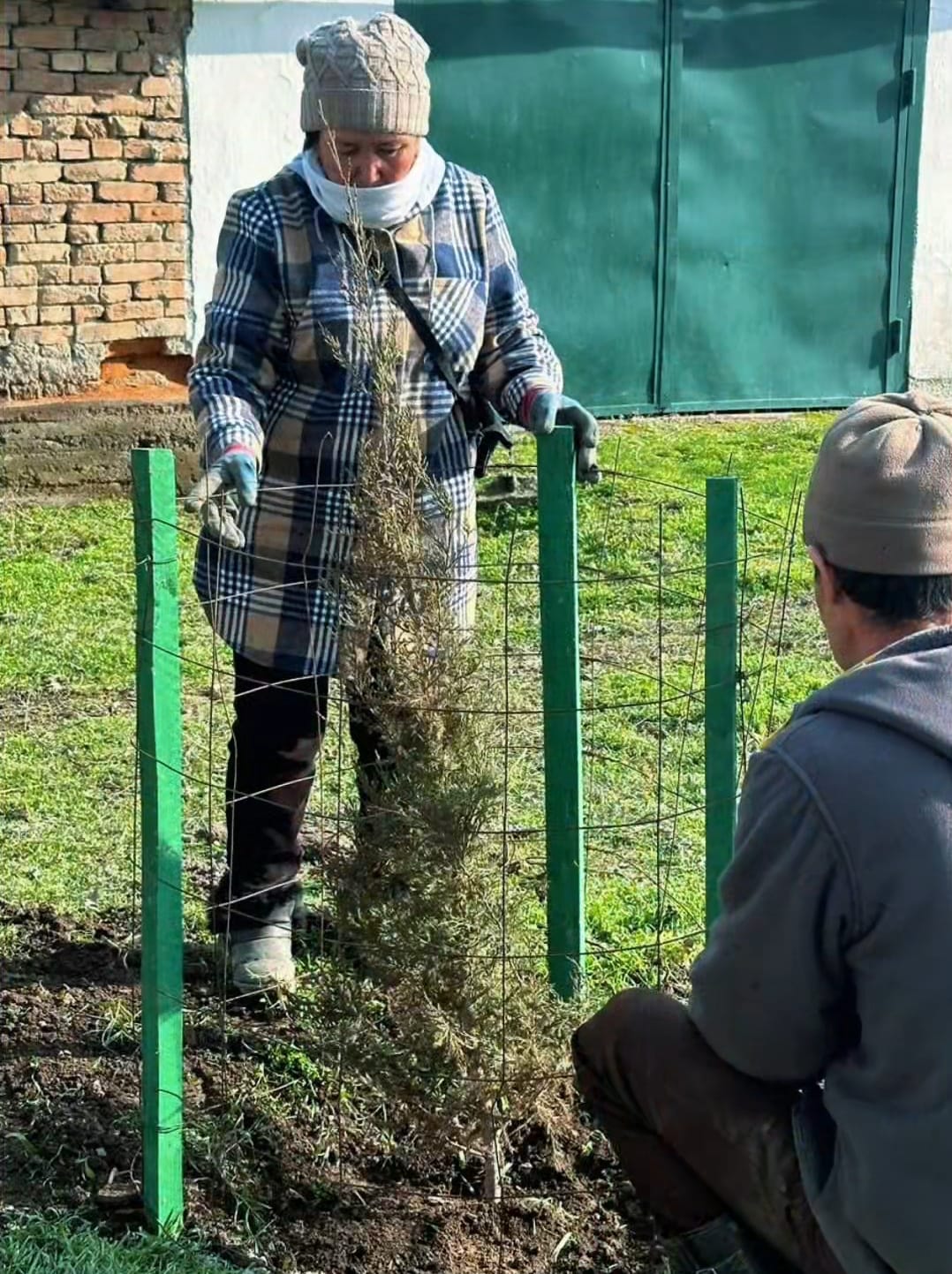 23 наурыз – Тазару күні: Табиғатпен бірге жаңару