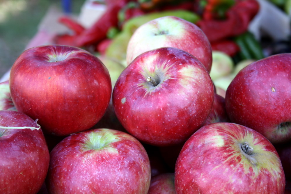 Алматыда Наурыз мерекесіне орай «Nauryz Sale» акциясы өтеді