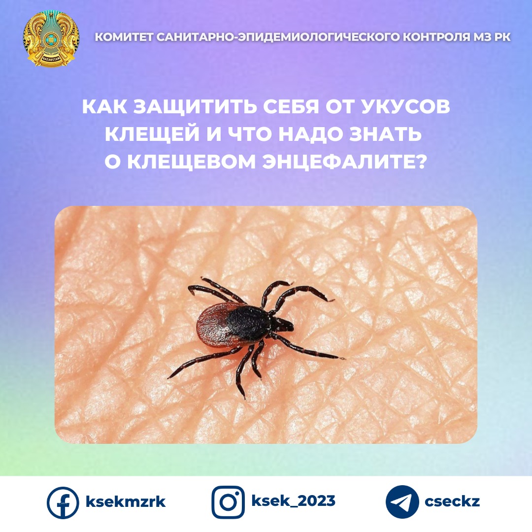 КЕНЕ ШАҒУЫНАН ҚАЛАЙ ҚОРҒАНУҒА БОЛАДЫ ЖӘНЕ КЕНЕ ЭНЦЕФАЛИТІ ТУРАЛЫ НЕНІ БІЛУ