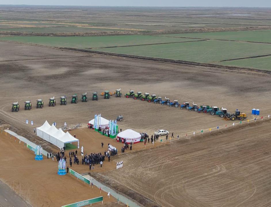 СЫР ӨҢІРІНДЕ ЕГІН АЛҚАБЫНА АЛҒАШҚЫ ДӘН СЕБІЛДІ