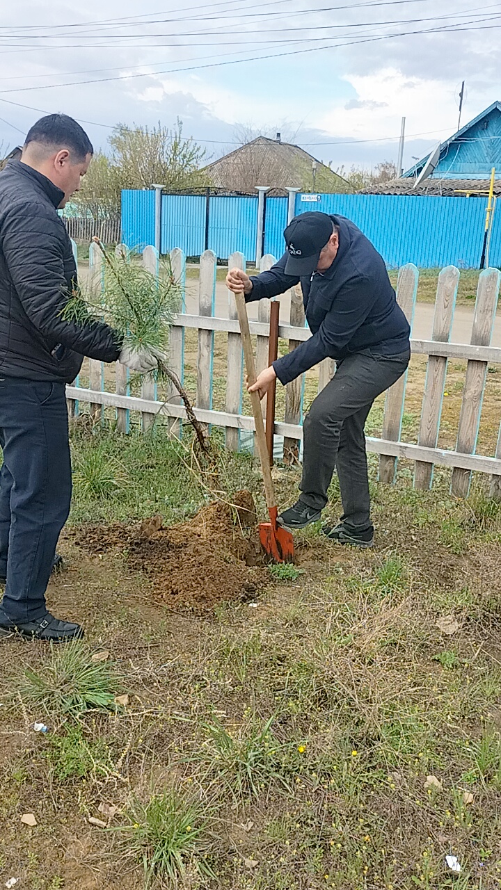 Мемлекет басшысының «Таза Қазақстан» бастамасы аясында Аманқарағай ауылдық округі аумағында «Жасыл болашақ» акциясы өтті.