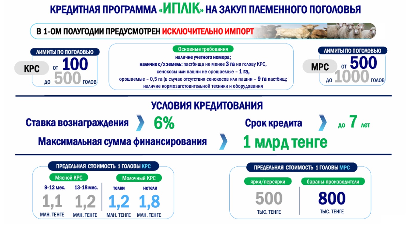Қазақстандық фермерлер енді асыл тұқымды мал сатып алу үшін алты пайыздық несиеге қол жеткізе алады.