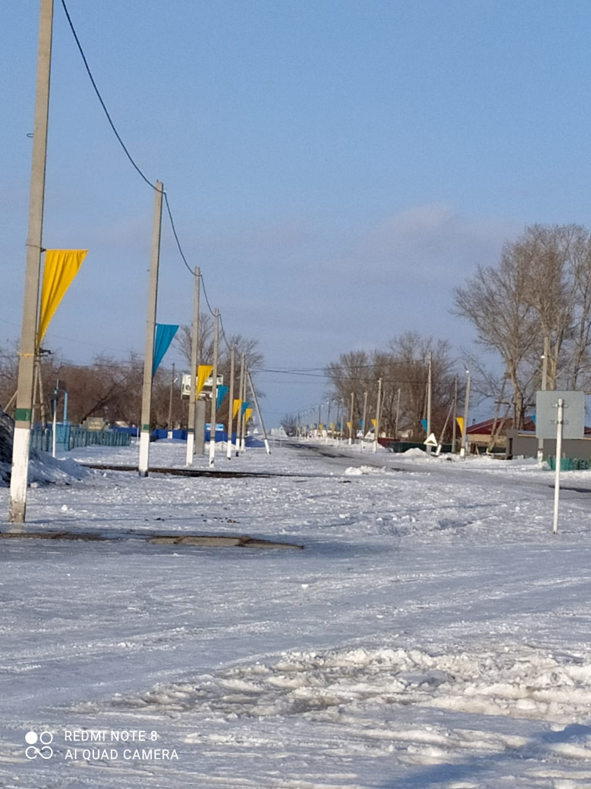 Ауылды көркейту: тулар орнатылды