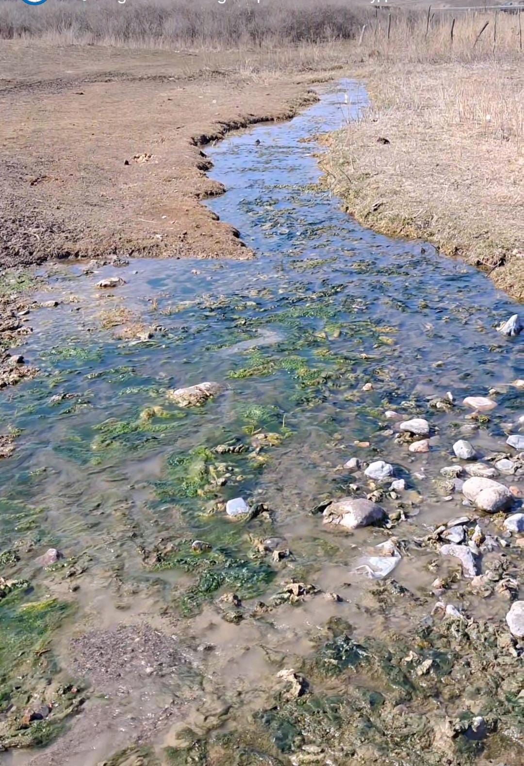 Наурызнама онкүндігі аясында Алғабас ауылдық округінде «Тазалық күніне» орай «Мөлдір бұлақ» экологиялық акциясы ұйымдастырылды.