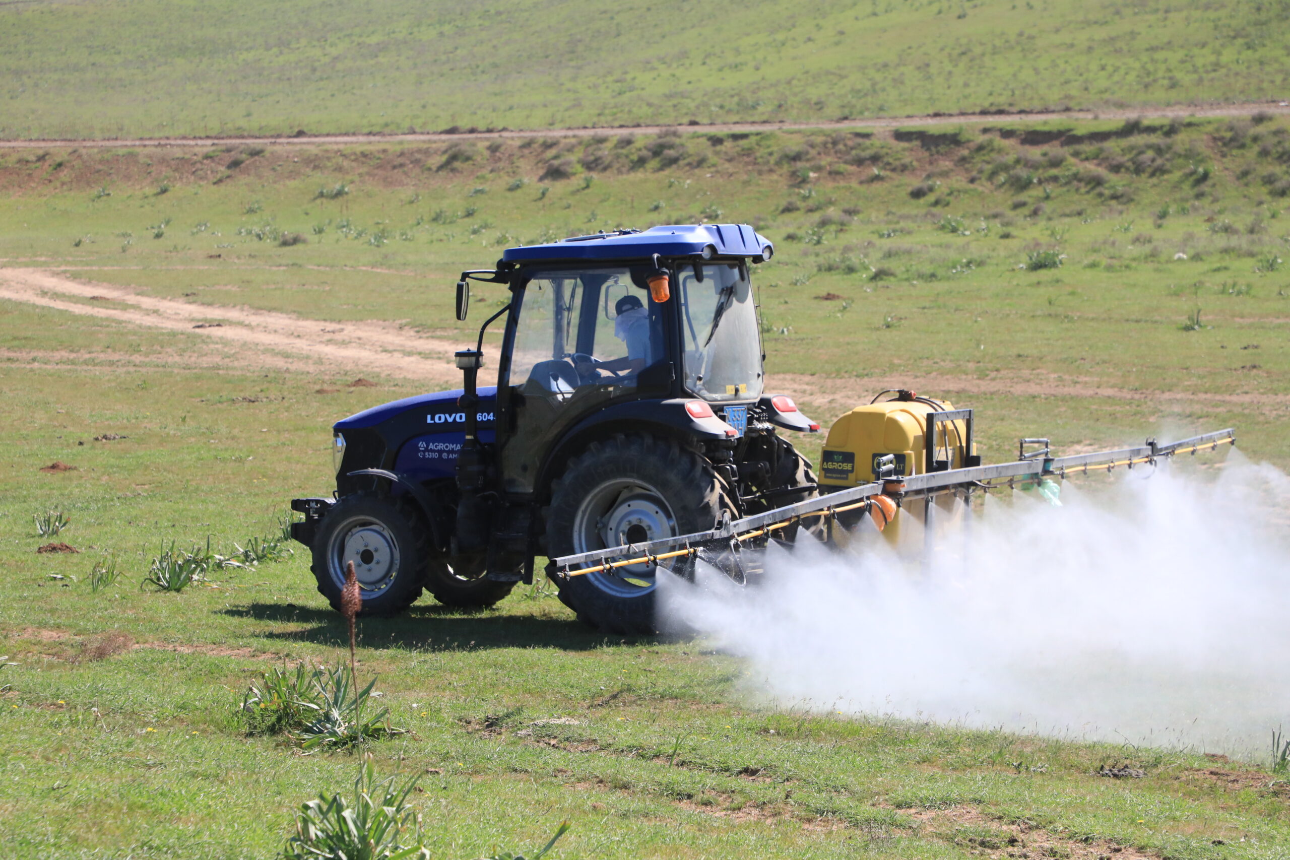 САРЫАҒАШ: ШЕГІРТКЕ ЗИЯНКЕСІМЕН КҮРЕС ЖҮЙЕЛІ ТҮРДЕ ЖҮРГІЗІЛУДЕ