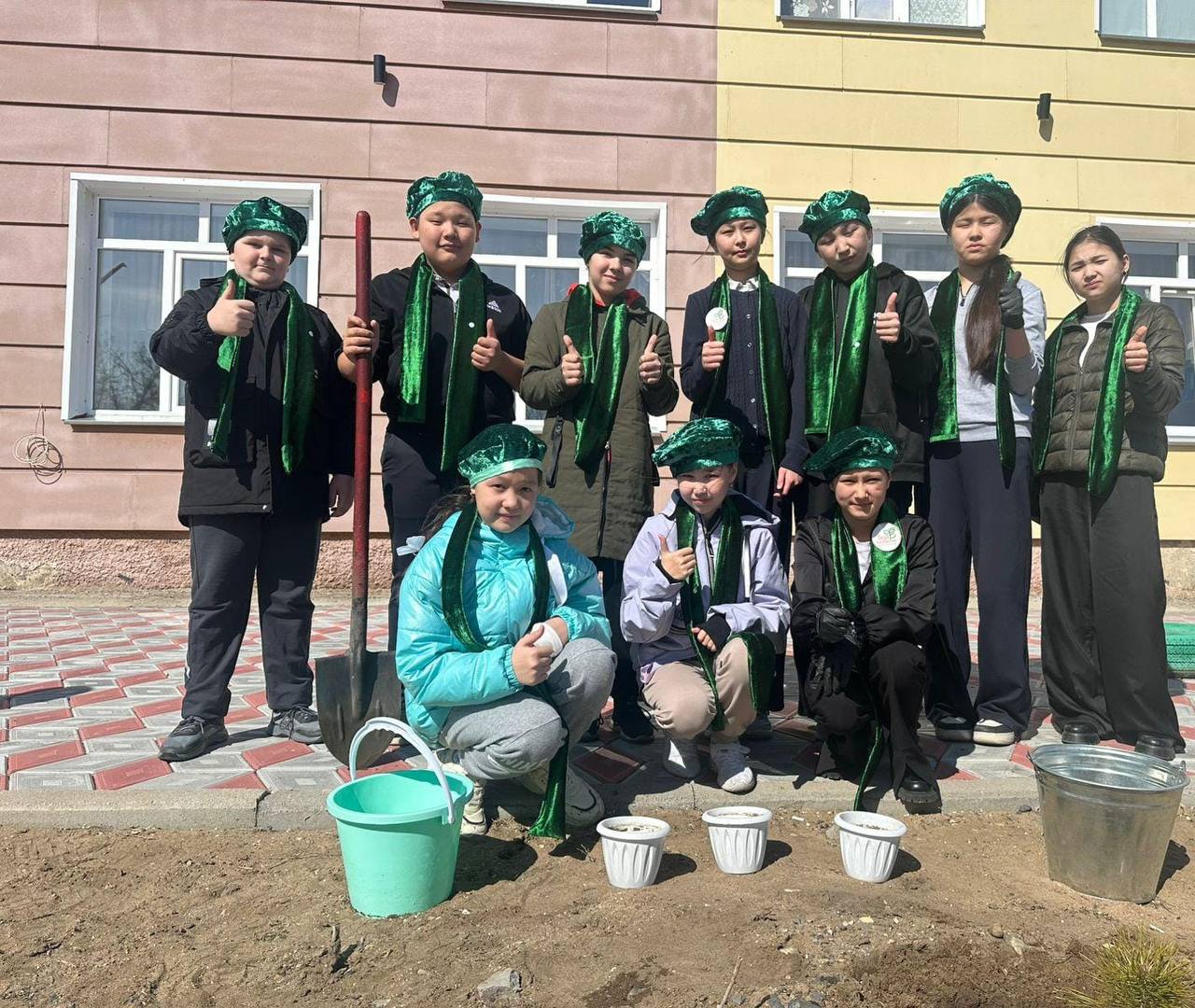 Аққулы ауданының жас экологтары 700-ден астам қарағай көшетін отырғызды