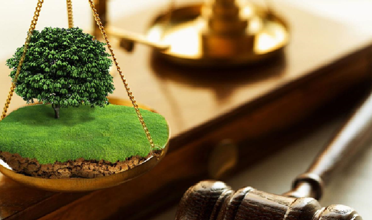 Қарағанды облысының Абай ауданында шаруа немесе фермер қожалығын, ауыл шаруашылығы өндірісін жүргізу үшін уақытша өтеулі жер пайдалану (жалға алу) құқығын беру жөніндегі конкурсты өткізу туралы  ХАБАРЛАМА