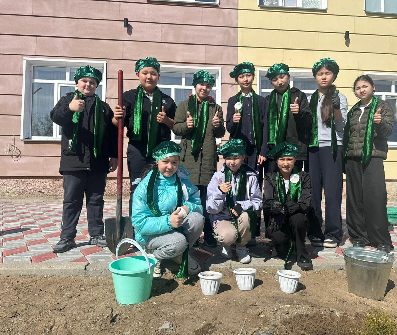 Аққулы ауданының жас экологтары 700-ден астам қарағай көшетін отырғызды