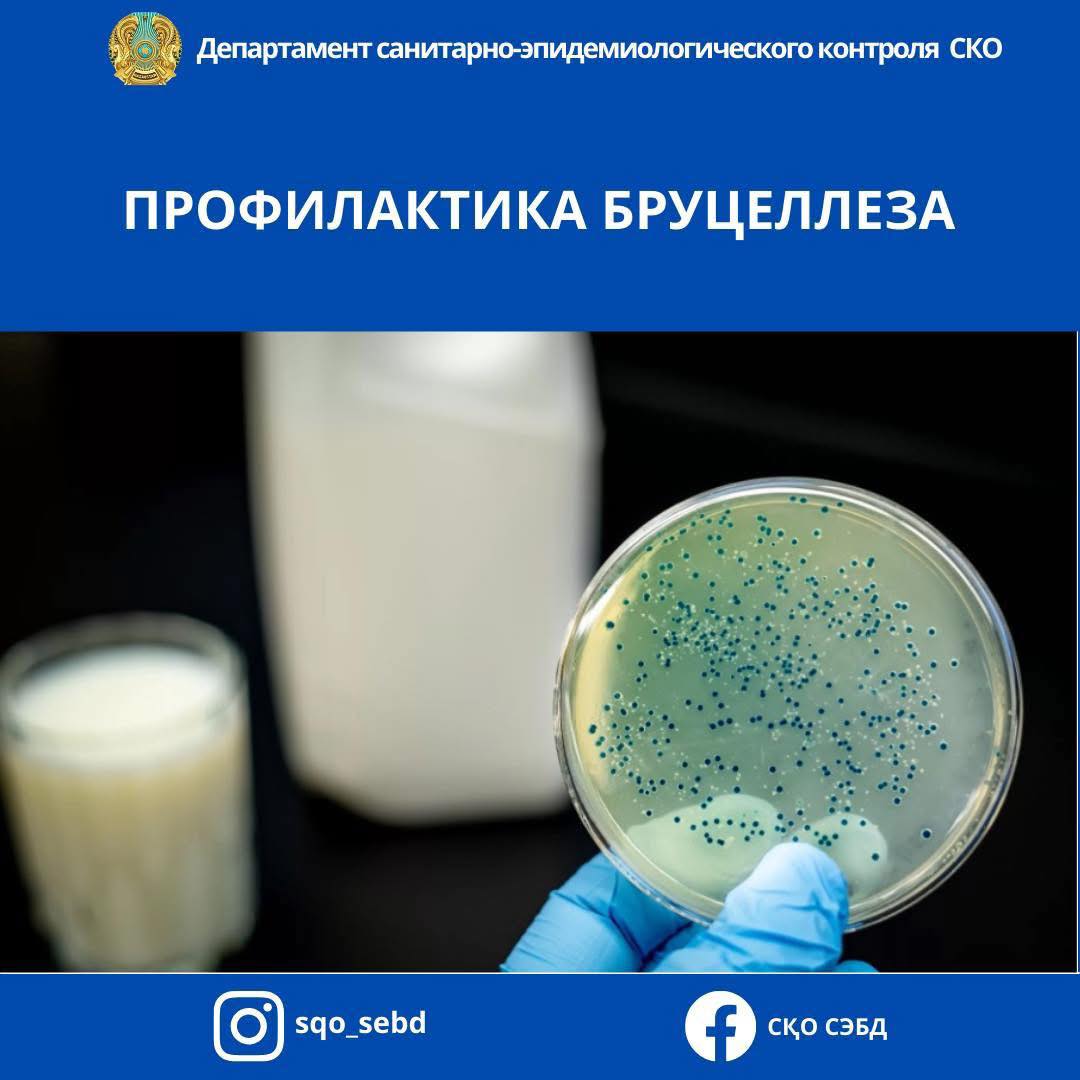 Сарыптың алдын алу