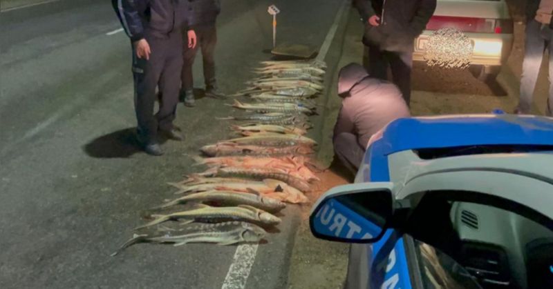 Маңғыстау облысында «Бекіре» жедел-профилактикалық іс-шарасы өтуде