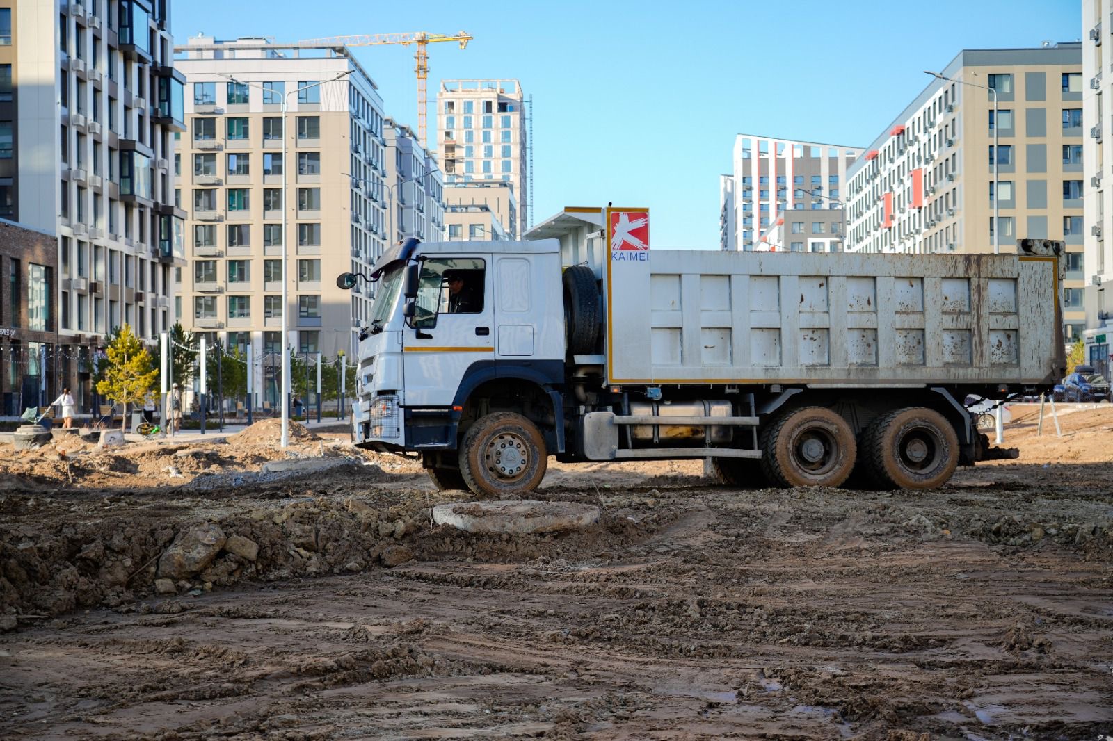 Астанада биыл бір миллион жасыл желек отырғызылады