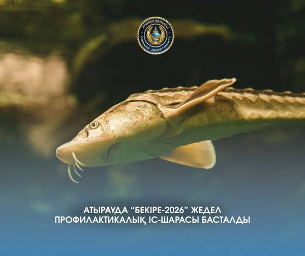 Атырауда “Бекіре-2026” жедел-профилактикалық іс-шарасы басталды
