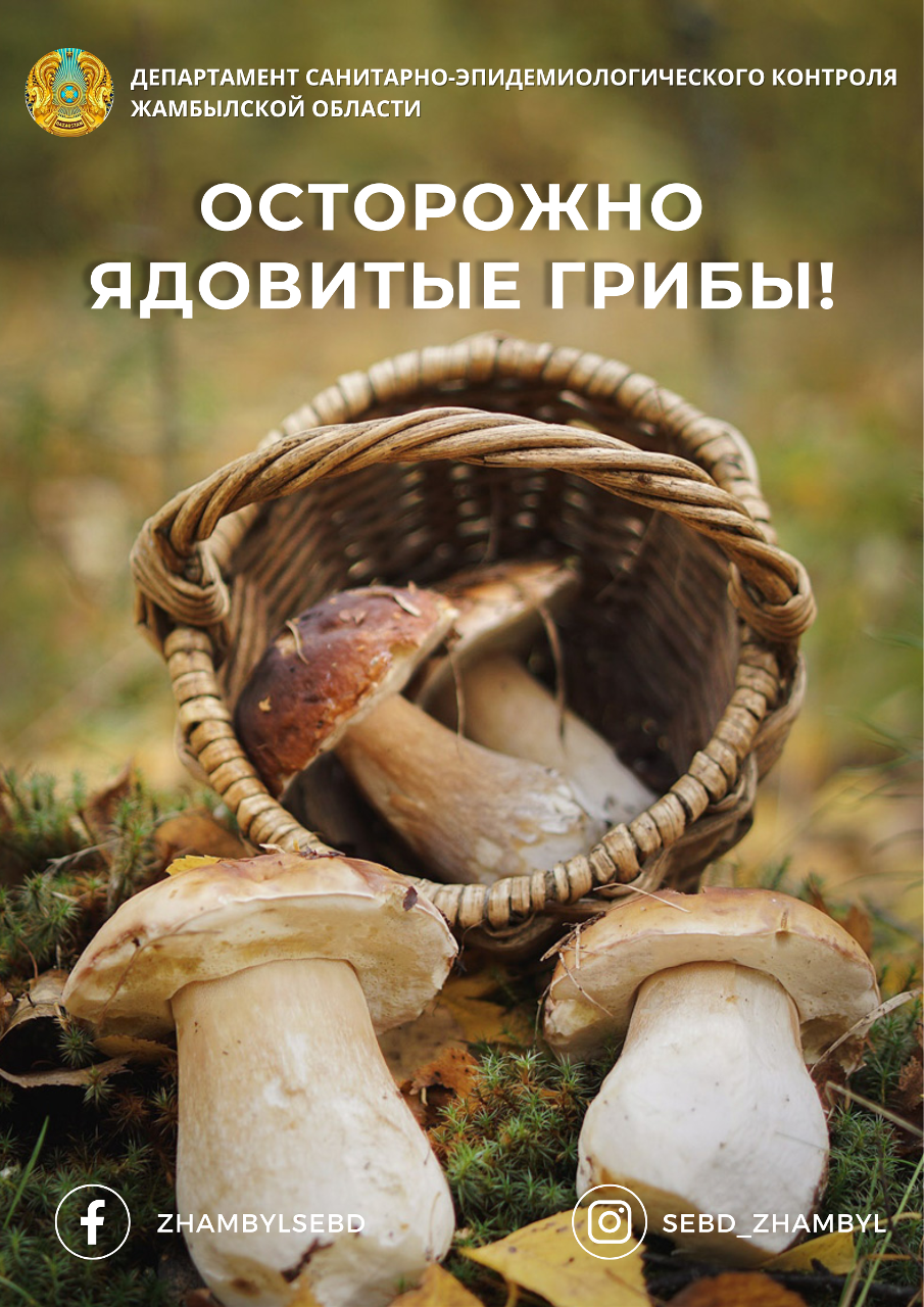 Улы саңырауқұлақтан абай болыңыз!